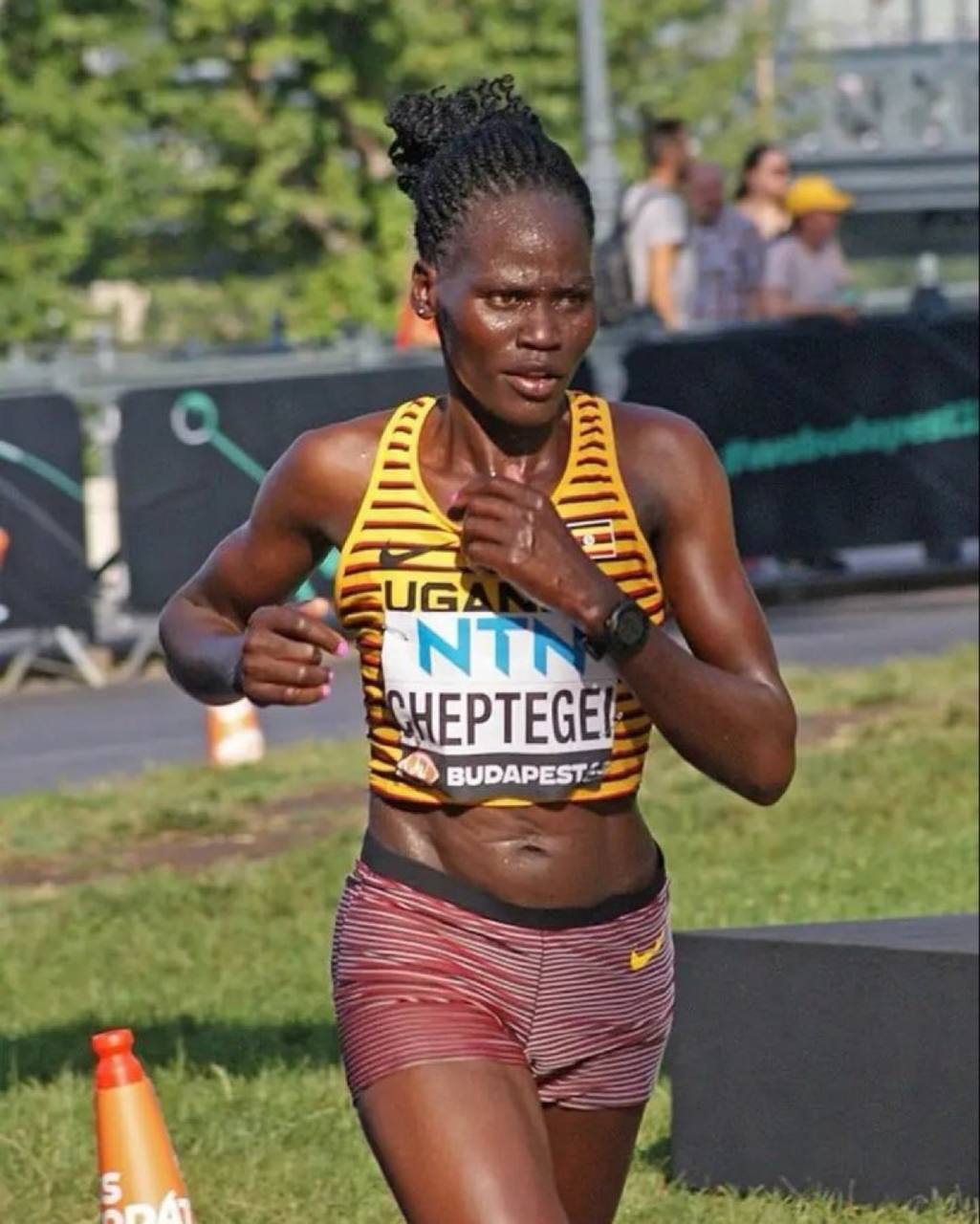 IMG-20240905-WA0012 img 20240905 wa0012