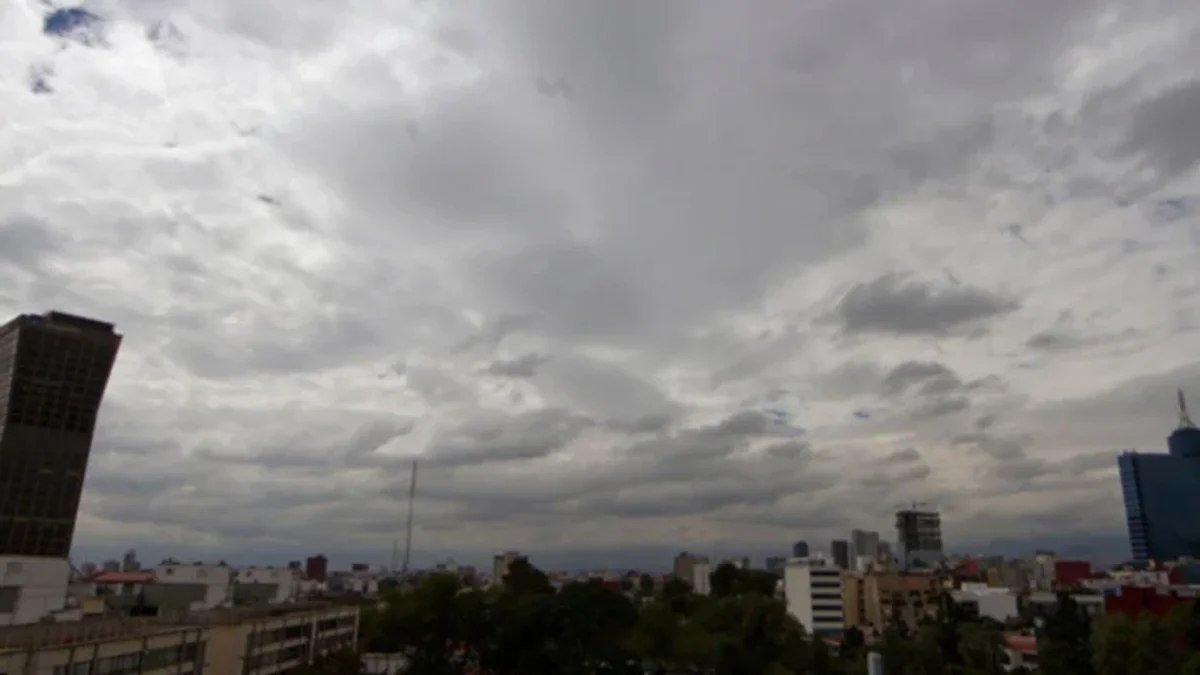 img 20250114 wa0006