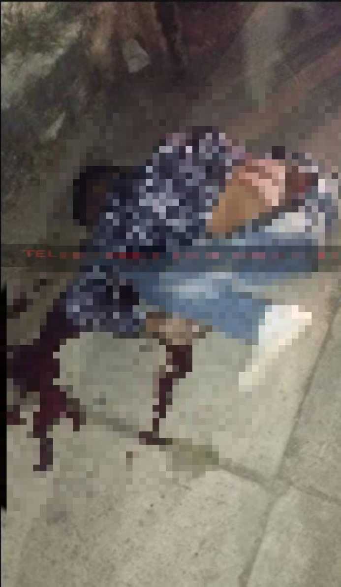 img 20250212 085235 151