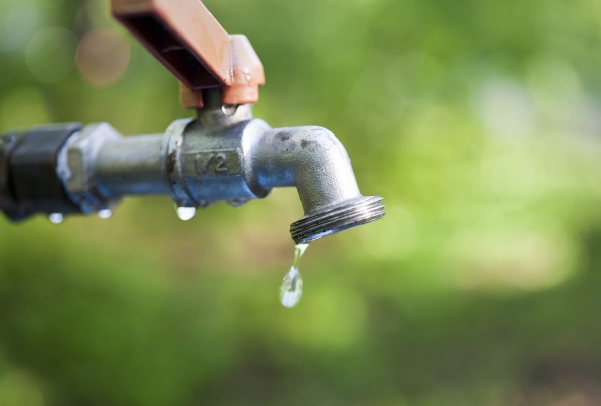 grifo agua 1
