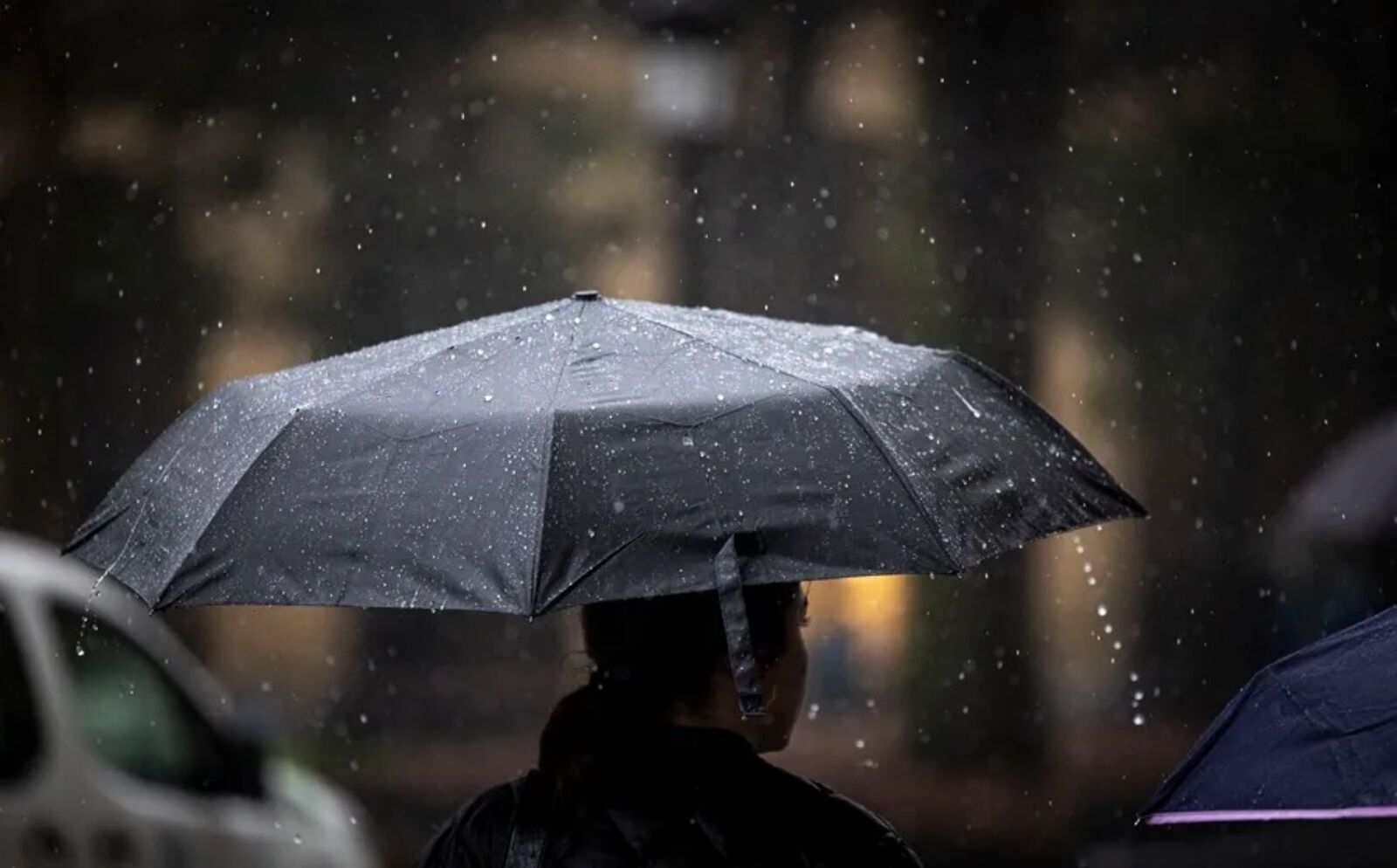 Lluvias 1 1