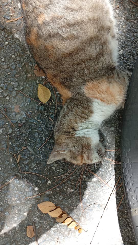 Img 20250923 Wa01516025625975708617558