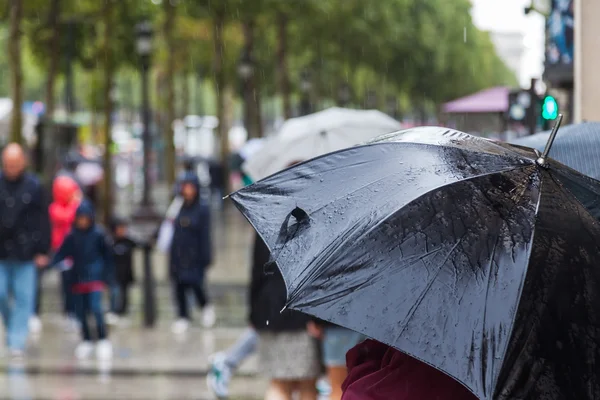 Lluvias 1