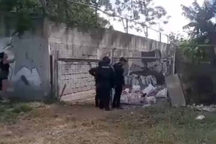 PGrosqs7 PGrosqs7