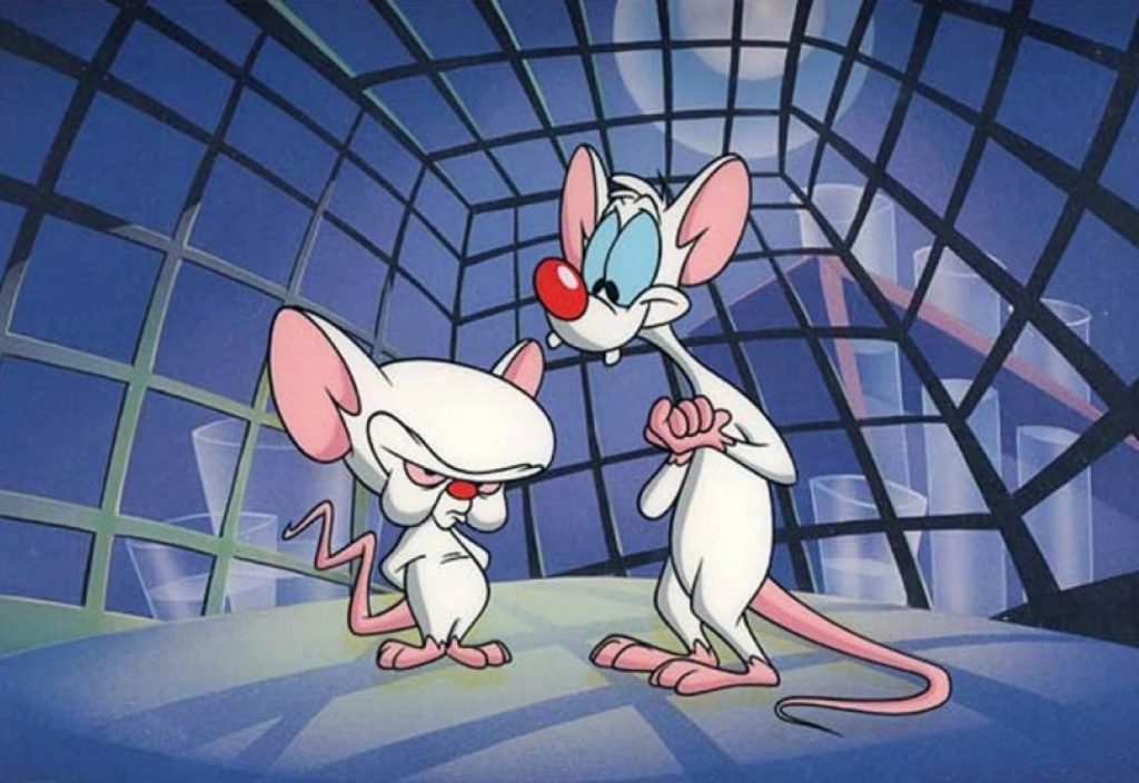 Pinky Y Cerebro4803431940725815326